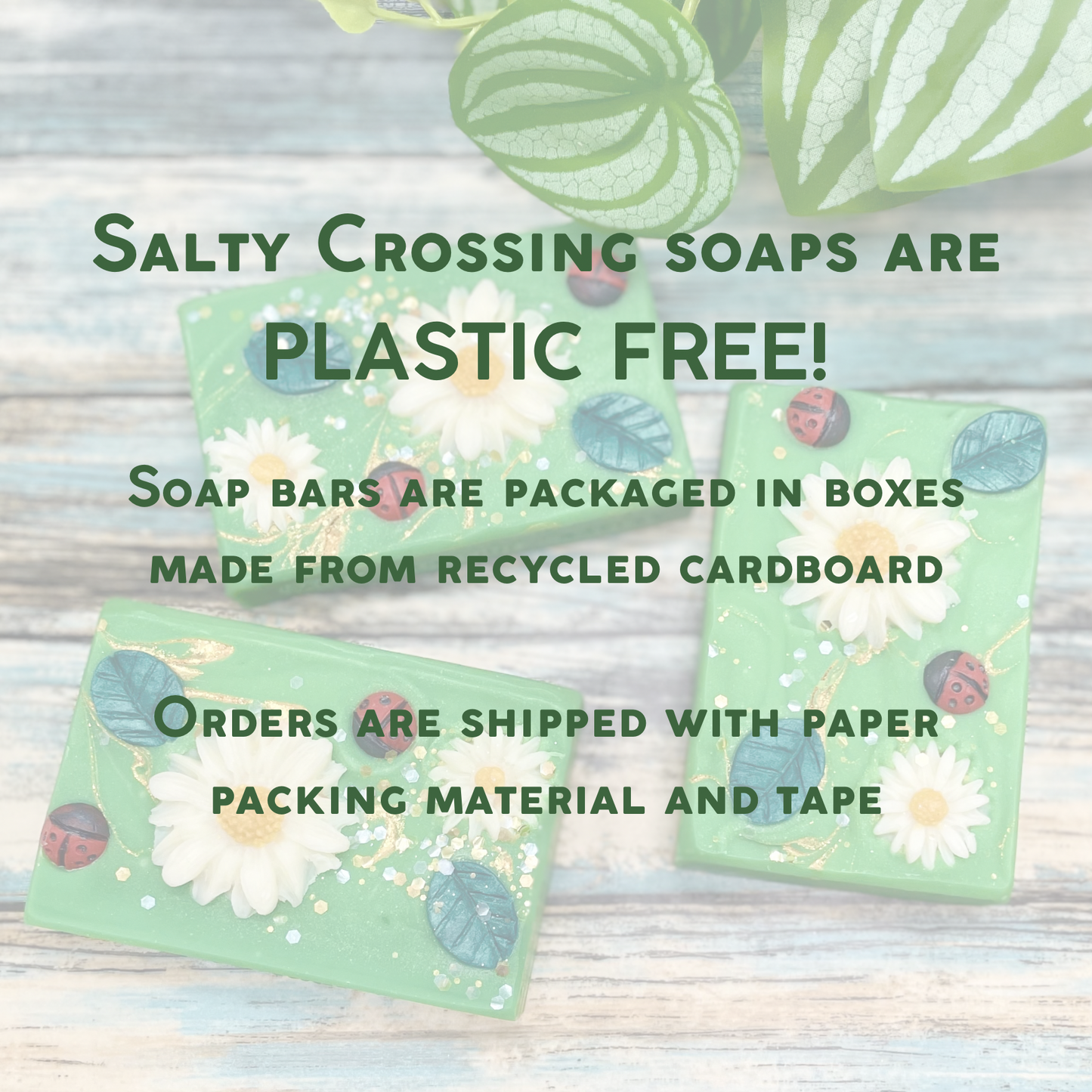 Green soap packaging with text about plastic-free and eco-friendly packaging.