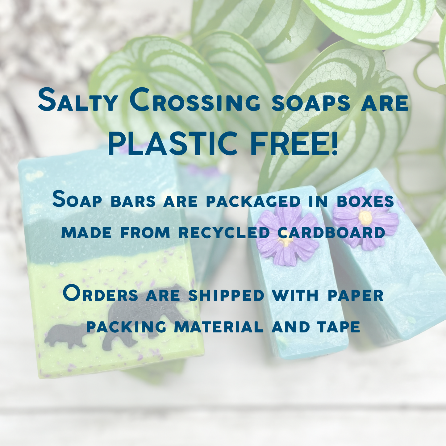 Plastic-free soap bars with eco-friendly packaging and text about sustainability.