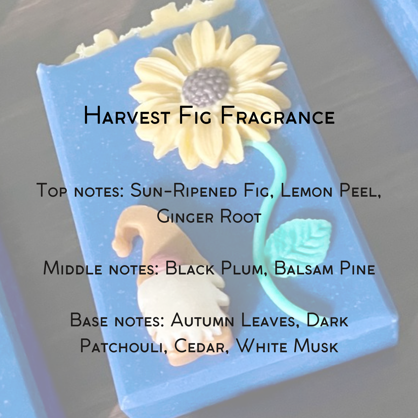 Sunflower Gnome | Fancy Artisan Soap | Coconut Milk Bath Bar | Handmade in Tennessee