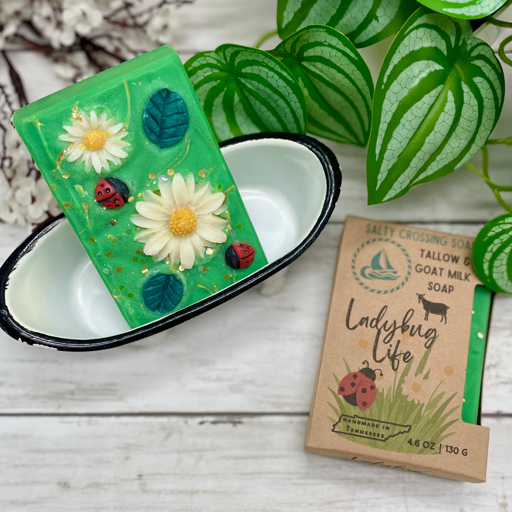 Green soap with ladybug and flower design in a dish, next to a cardboard packaging labeled 'Ladybug Life'.