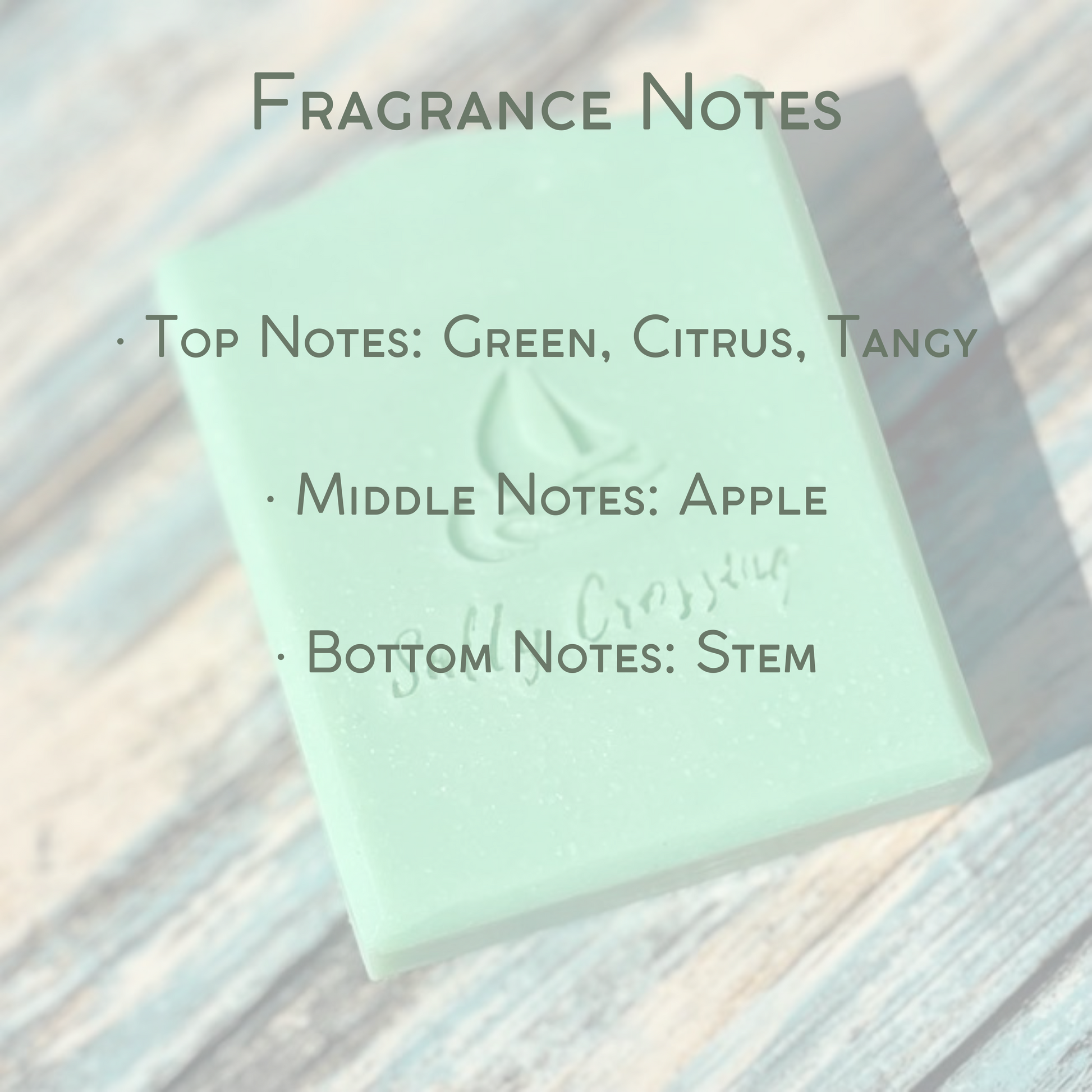 fragrance notes. top notes green, citrus, tangy. middle notes apple. bottom notes stem. graphic.